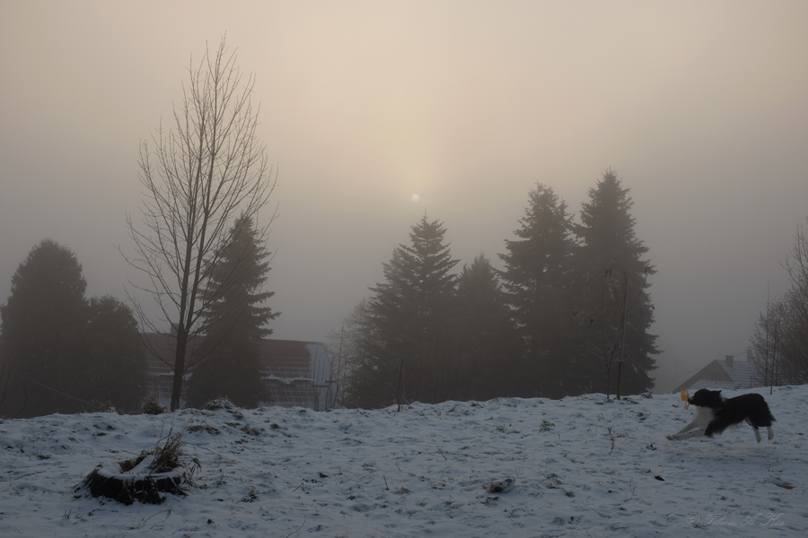 35 :: Dawn